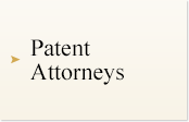Patent Attorneys