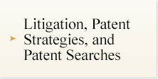 Litigation, Patent Strategies, and Patent Searches